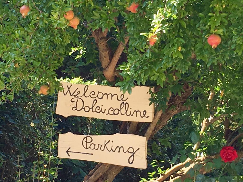 Borgo Dolci Colline Villa Castiglion Fiorentino Bagian luar foto